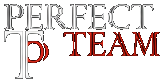 Perfect Team